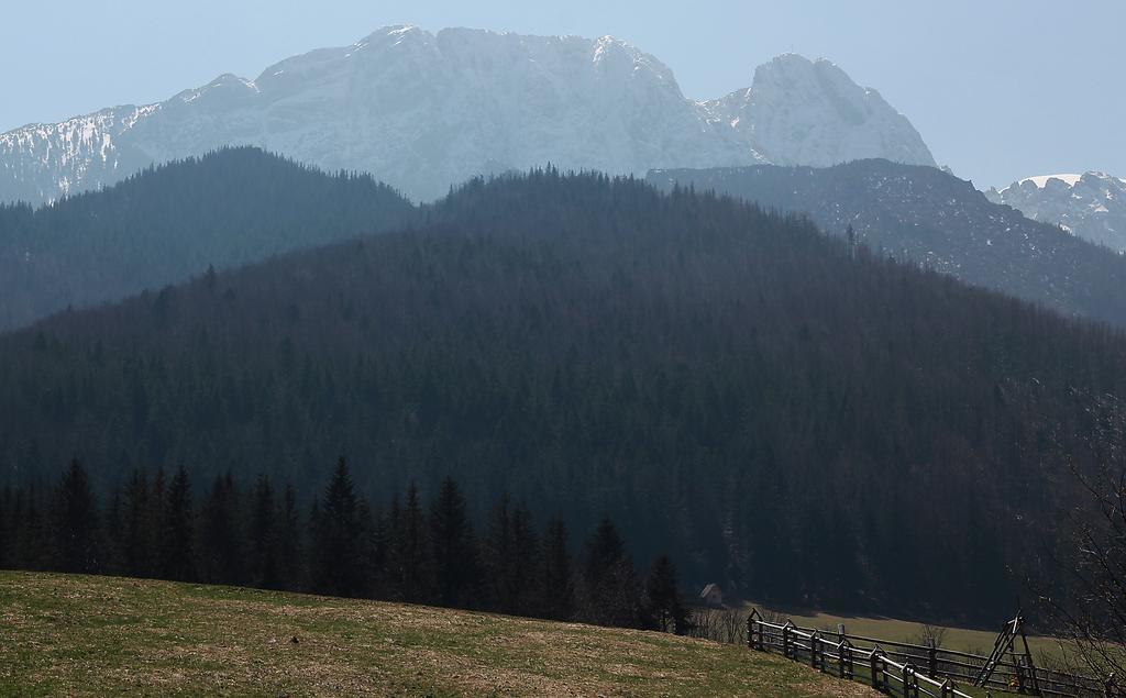 Willa Pod Halami Apartment Zakopane Bagian luar foto